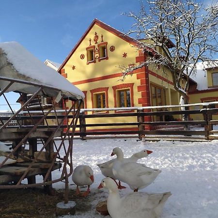 Podkrovni Apartman Pololan U Rybnika Nová Ves Exteriör bild